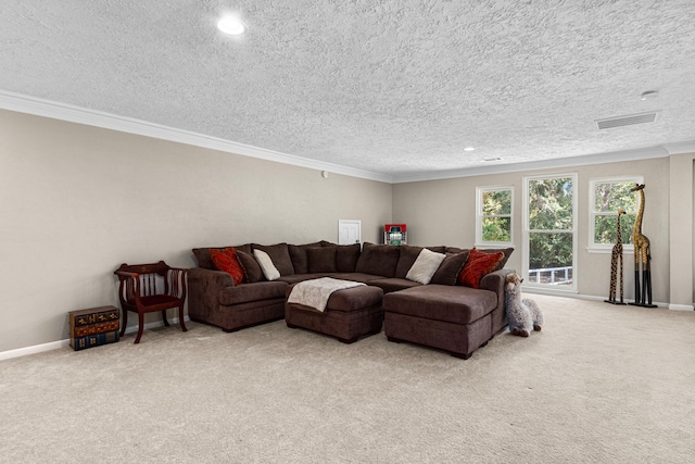 living room with a textured ceiling, crown molding, and carpet floors