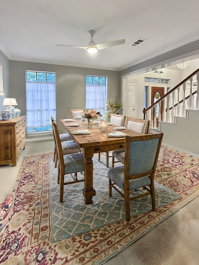 carpeted dining room with ceiling fan and crown molding