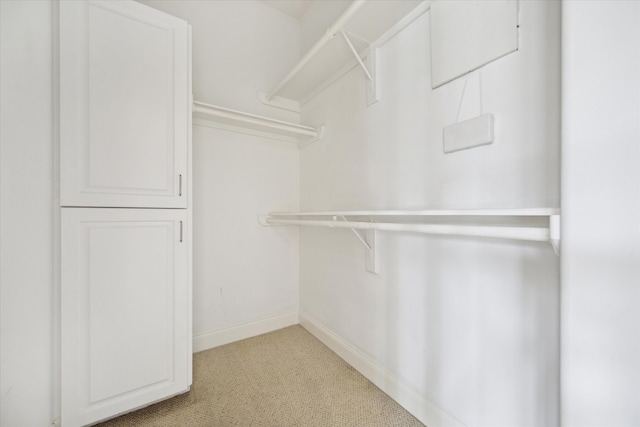 spacious closet featuring light colored carpet