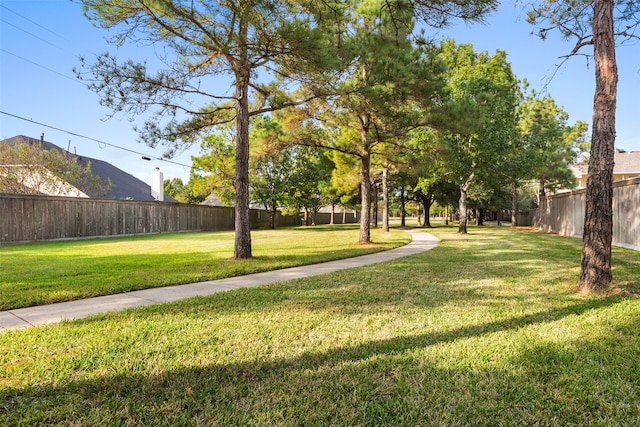 view of yard