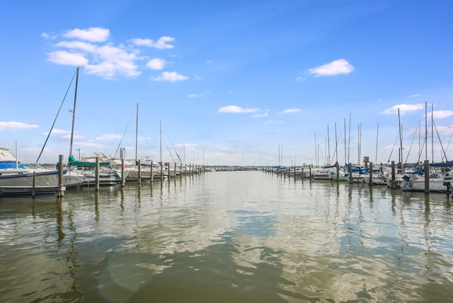 dock area with a water view