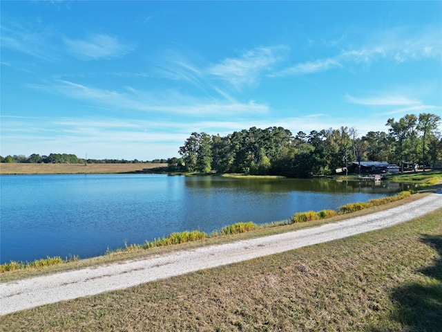 property view of water