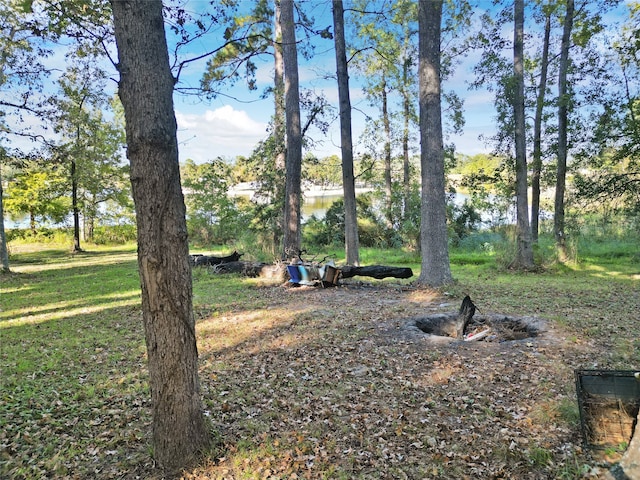 view of yard featuring a water view