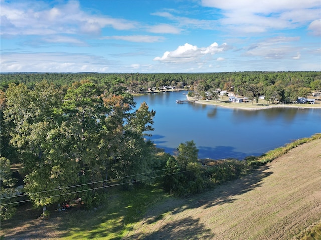 property view of water