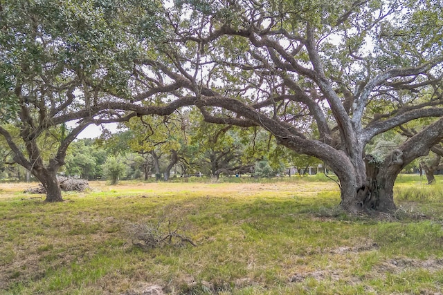 2932 County Road 126, Van Vleck TX, 77482 land for sale