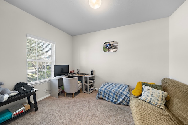 office area featuring light colored carpet