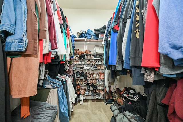 walk in closet featuring carpet floors