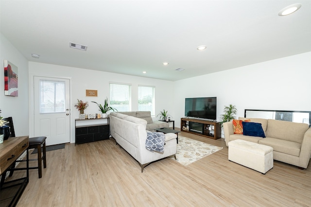 living room with light hardwood / wood-style floors and a wealth of natural light