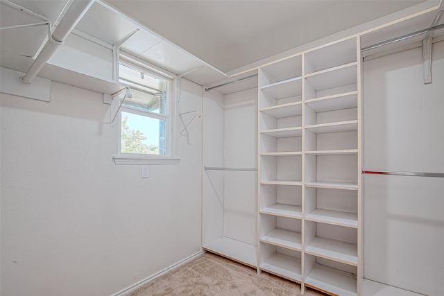 spacious closet with light carpet