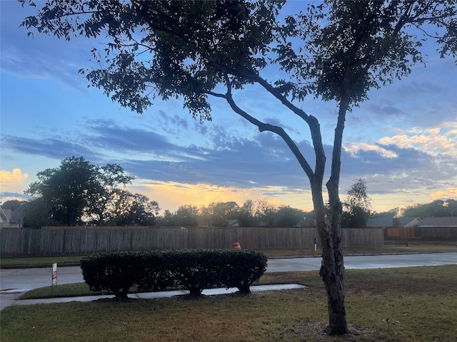 view of yard at dusk