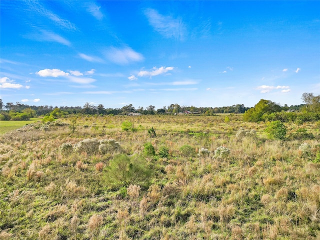 Listing photo 3 for TBD Highway 94, Trinity TX 75862