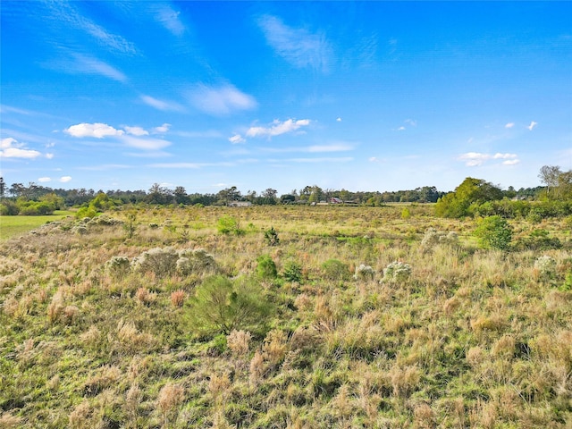 TBD Highway 94, Trinity, TX 75862 - photo 3