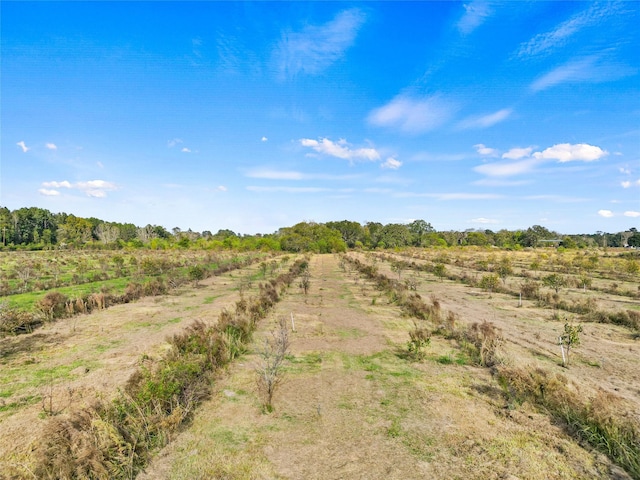 TBD Highway 94, Trinity, TX 75862 - photo 4