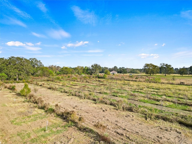 TBD Highway 94, Trinity, TX 75862 - photo 6