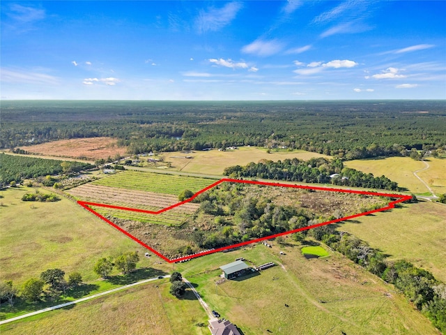 TBD Highway 94, Trinity, TX 75862 - photo 10