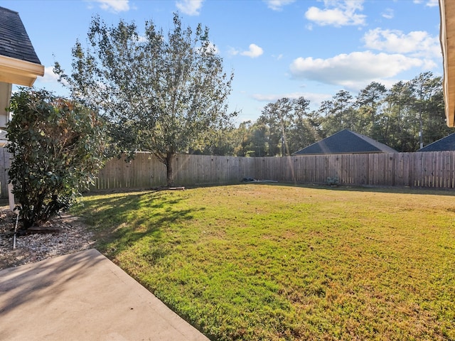 view of yard featuring a patio