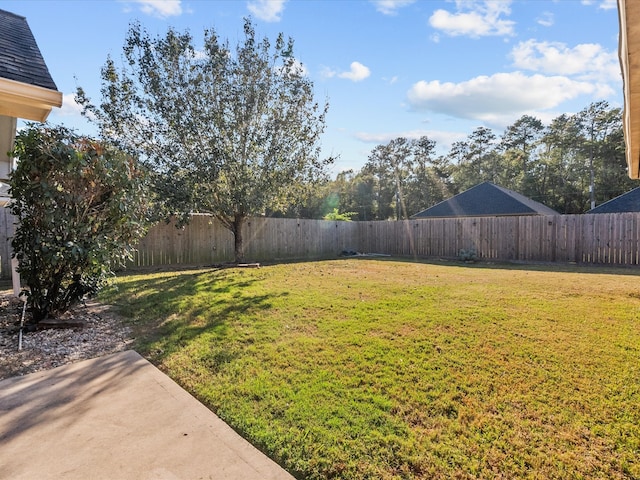 view of yard featuring a patio