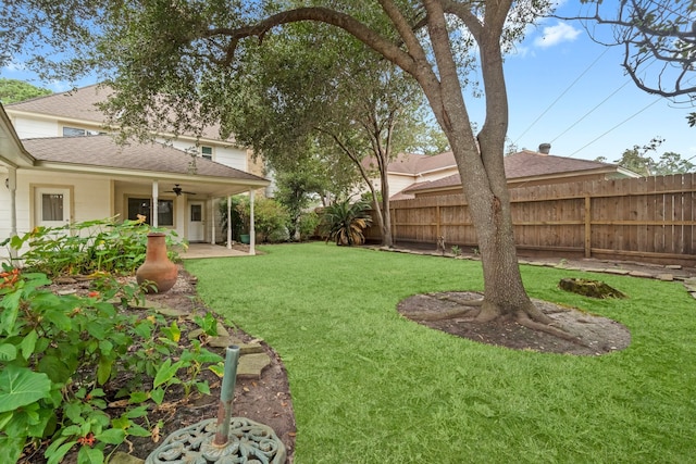 view of yard with a patio