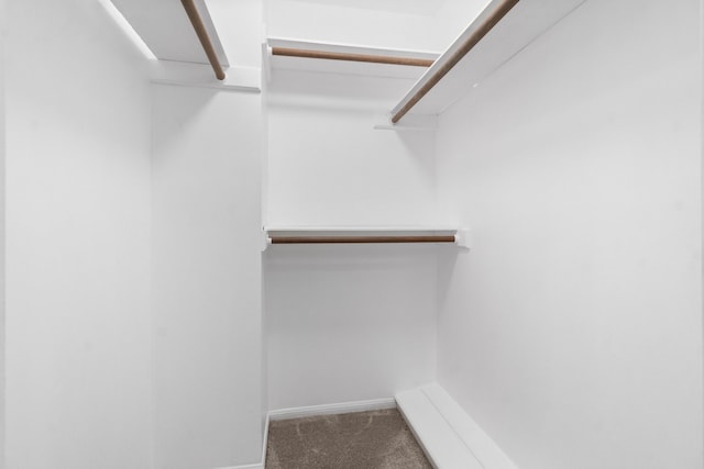 walk in closet with dark colored carpet