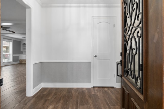 foyer entrance with ceiling fan, ornamental molding, and dark hardwood / wood-style flooring