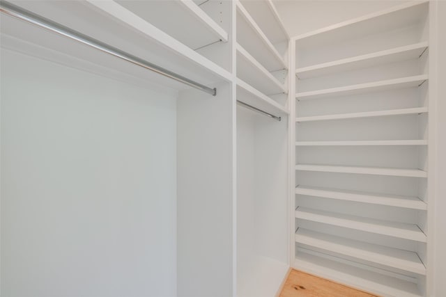 spacious closet featuring wood-type flooring