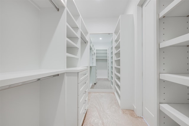 view of walk in closet