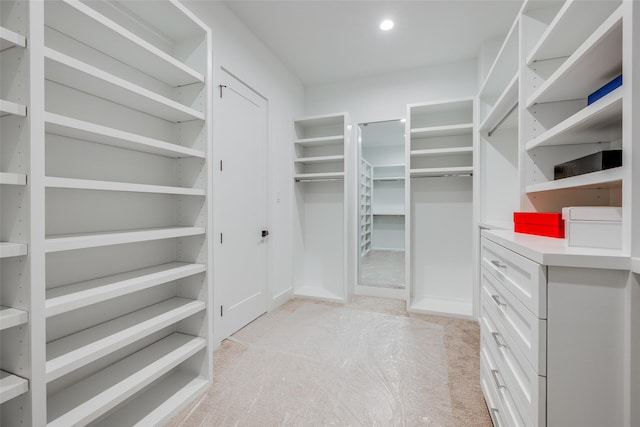 walk in closet with light carpet