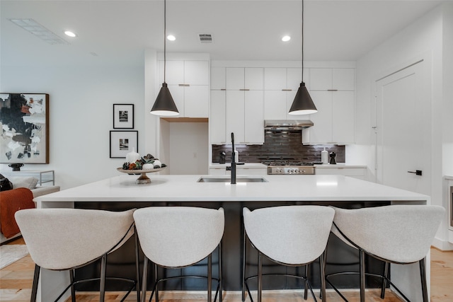 kitchen with white cabinetry, modern cabinets, and a sink