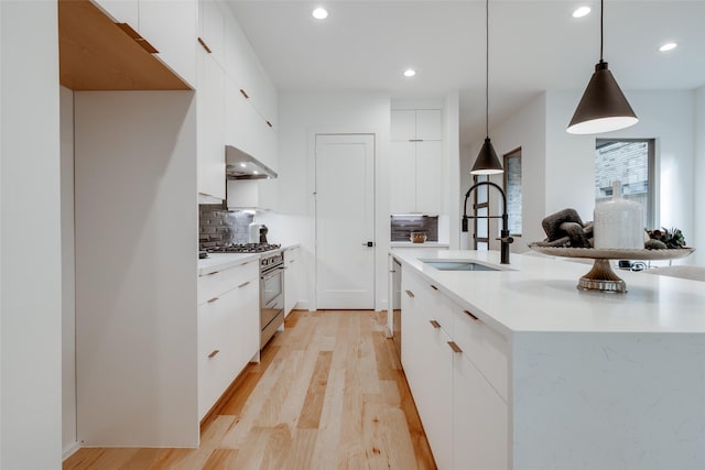 kitchen featuring under cabinet range hood, modern cabinets, appliances with stainless steel finishes, and a sink