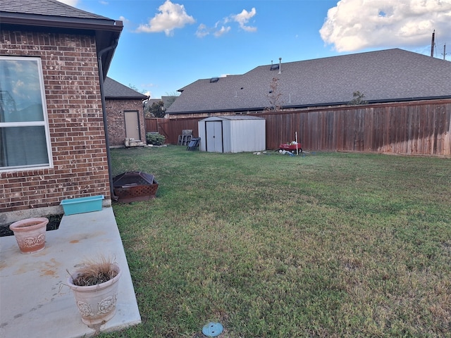 view of yard featuring a patio area and a shed