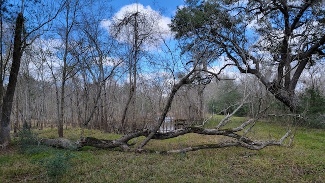 Listing photo 3 for 1888 Colony Dr, Angleton TX 77515