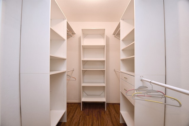 walk in closet with dark hardwood / wood-style flooring