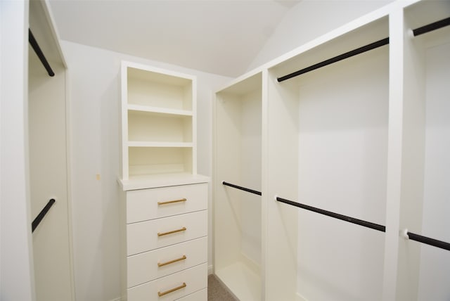 view of spacious closet