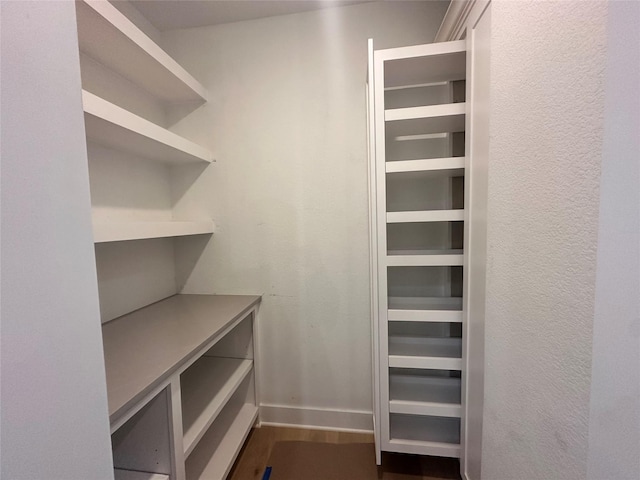 walk in closet with wood-type flooring