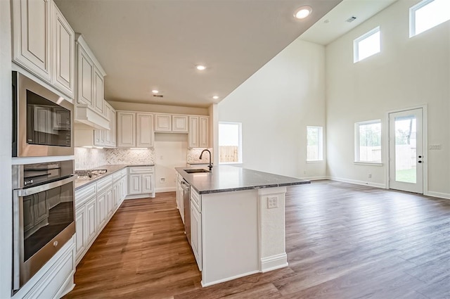 kitchen with a kitchen island with sink, stainless steel appliances, a wealth of natural light, and sink