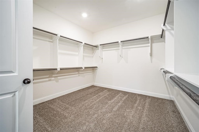 spacious closet with carpet floors