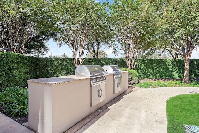 view of patio / terrace with area for grilling and grilling area