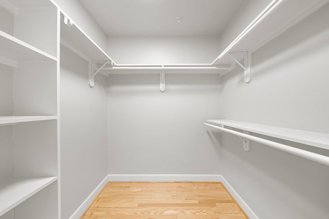 spacious closet featuring hardwood / wood-style flooring