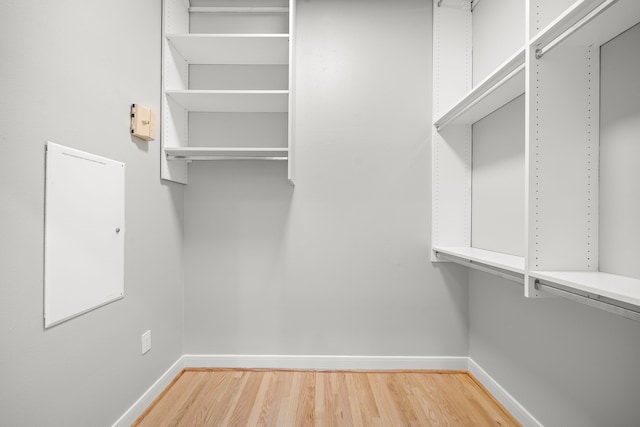 spacious closet featuring wood-type flooring