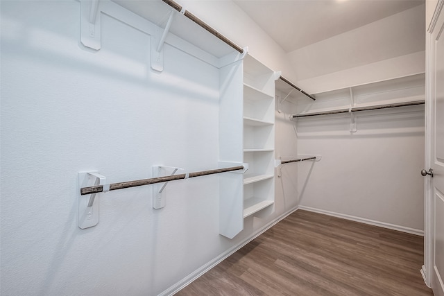 spacious closet featuring wood-type flooring