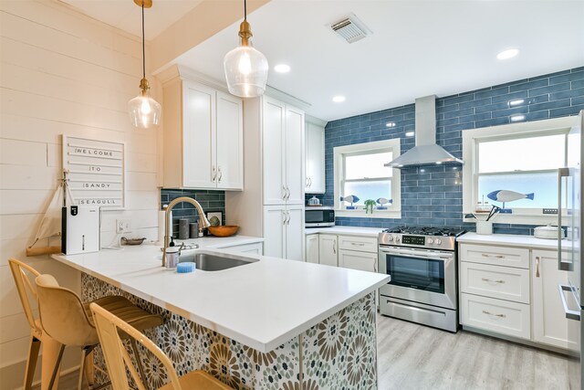 kitchen with wall chimney exhaust hood, sink, white cabinetry, and stainless steel appliances