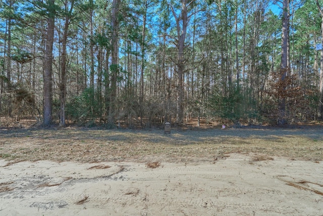 174 E Park Rd, Onalaska TX, 77360 land for sale