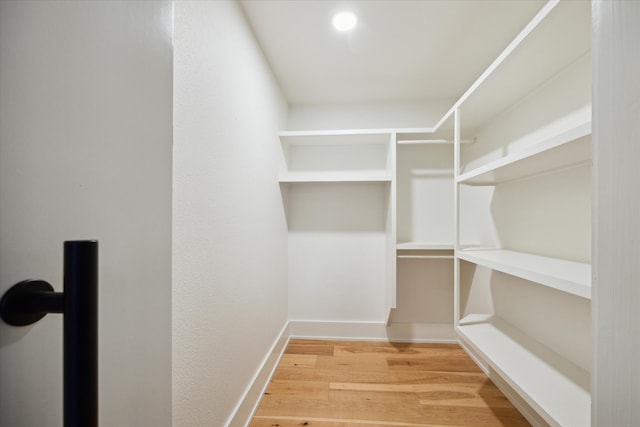 walk in closet featuring wood-type flooring