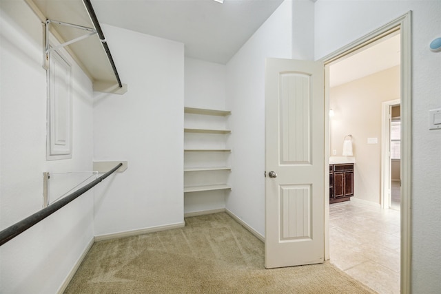 walk in closet with light carpet