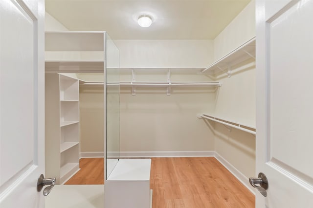 spacious closet with light wood-type flooring