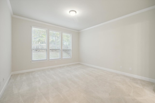 carpeted empty room with ornamental molding