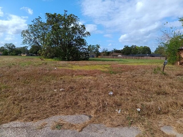1321 E Mulberry St, Angleton, TX 77515 - photo 3