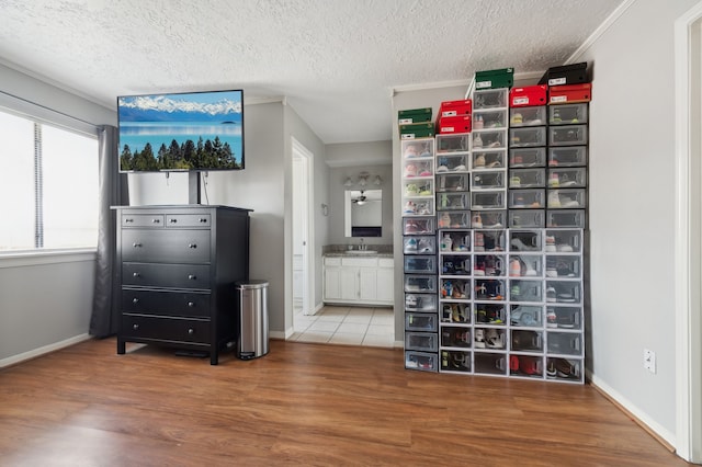 spacious closet with sink and wood-type flooring