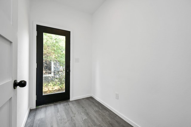 entryway featuring wood-type flooring