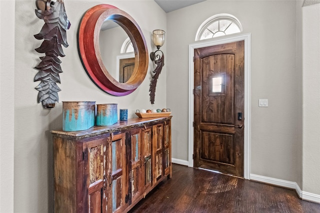 foyer entrance with dark hardwood / wood-style floors